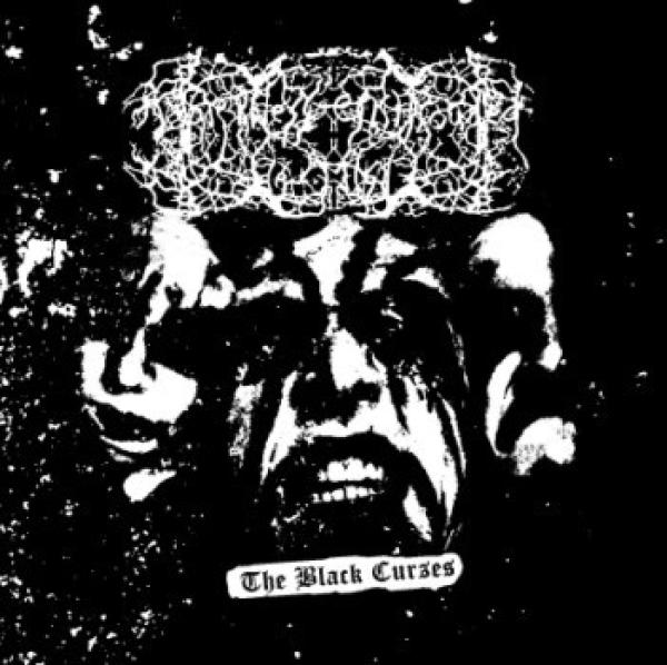 Darkness Enshrouded The Mist – The Black Curses CD